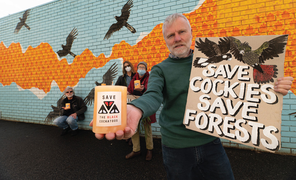 Campaign coordinator with banner