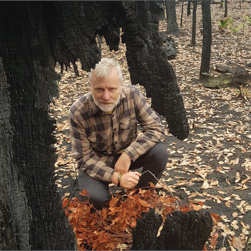Man crouched on burnt forest floor