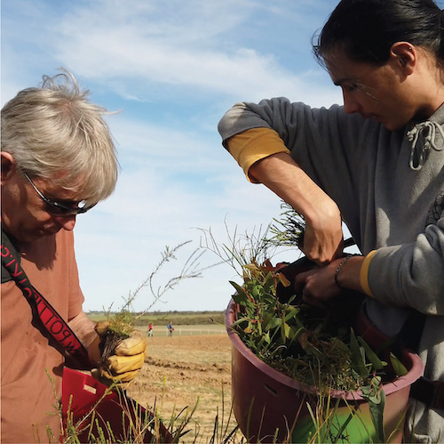 2 Women with seedlings